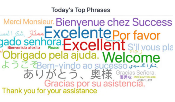 Get the Most from Intelligent Virtual Assistants